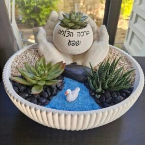 המעיין